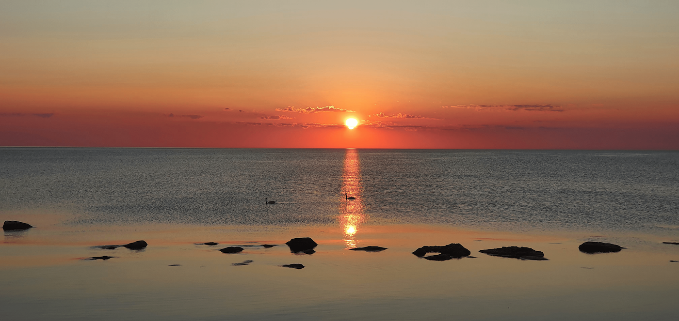 Gotland3