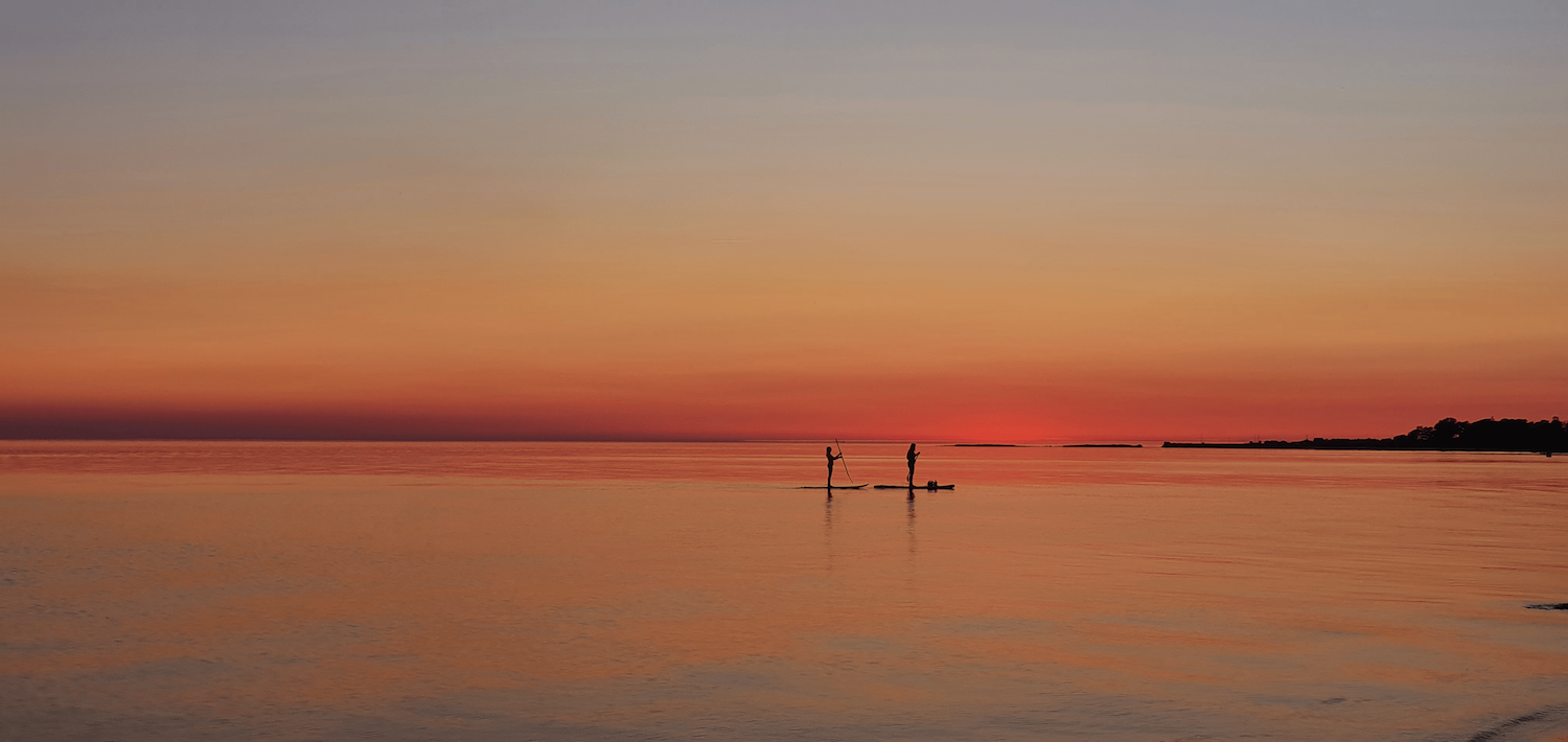 Gotland6